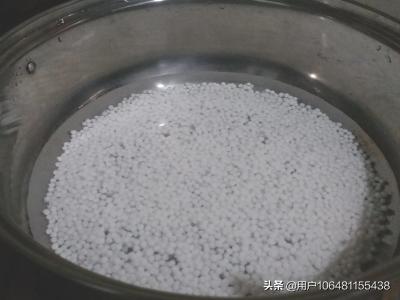 椰汁西米露的做法-牛奶椰汁西米露的做法