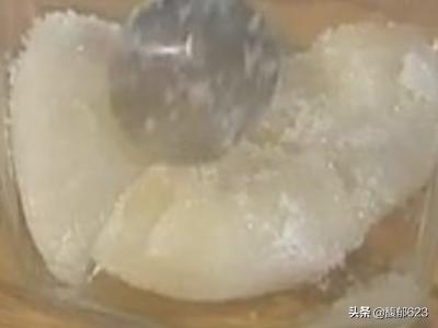 水果罐头-水果罐头的制作方法