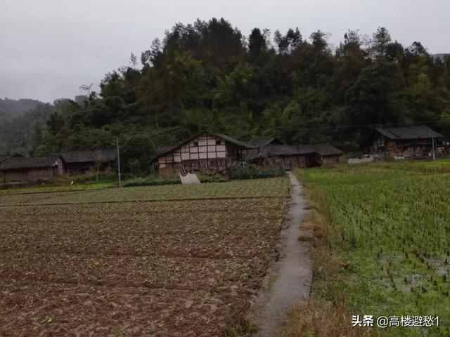 田园风格的效果图,田园风格的效果图怎么画