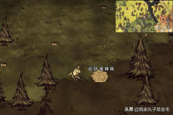 饥荒怎么回血？饥荒女武神吃什么加血最多？