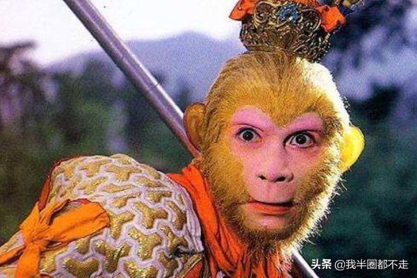 西游记中孙悟空的故事（西游记中孙悟空的故事情节概括）