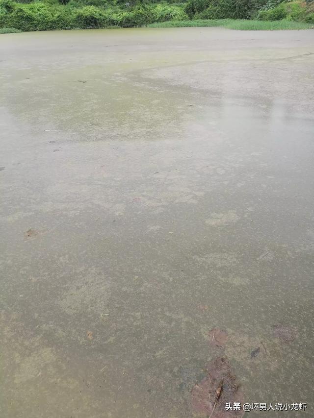 学做小龙虾-学做小龙虾的地方