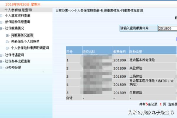 广州市社会保险网上个人查询系统，广州市社会保障局个人社保查询