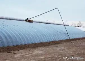 农产品种植创业计划书 我想回乡做蔬菜种植，大家看前景如何？