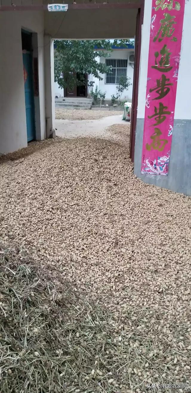 乡镇致富网(在农村做什么生意好?致富好项目？)