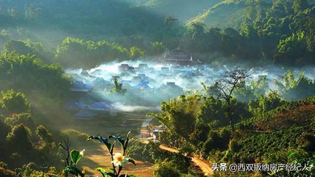 西双版纳适合带4岁小孩儿亲子度假吗