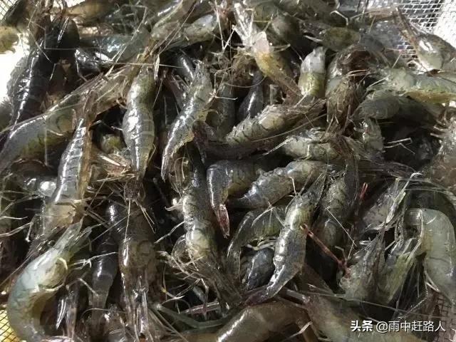 青虾广东做法（广东虾堆的做法和配方？）