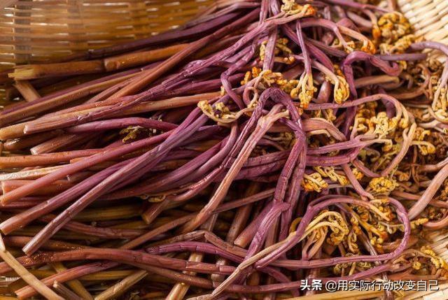 小蒜做法乡村美食（蒜苔来自那个朝代？）