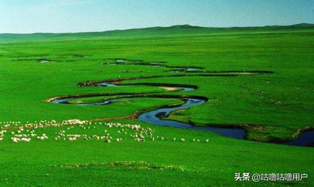 什么什么婊(什么什么亻)