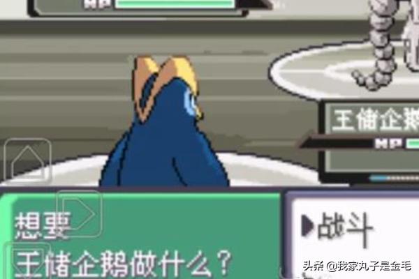 口袋妖怪卡那兹市攻略 口袋妖怪怎么去卡兹那市  第12张