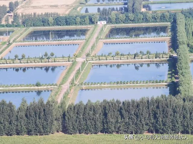 湘潭县今日猪价趋势图-湘潭县今日猪价趋势图最新