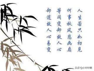 爱情的诗句_祝福爱情的诗句