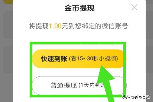 七猫可以看晋江的vip小说吗？：七猫免费阅读小说