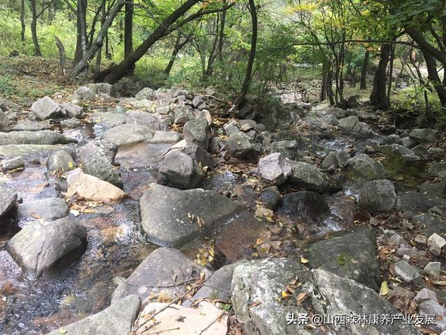 乡村旅游项目策划方案，乡村旅游项目策划方案ppt