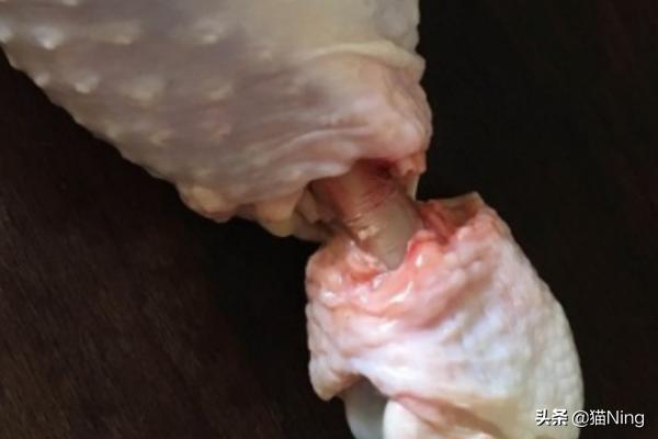 鸡如何去骨(如何给鸡去骨)