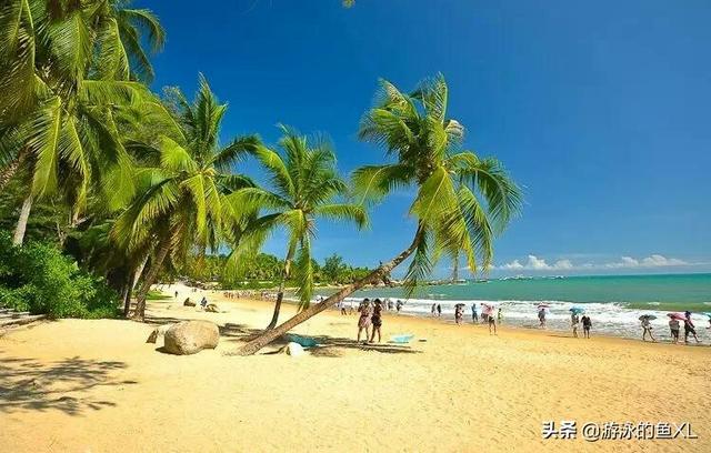 云南昆明市晋宁区吃刨猪汤农家乐预定电话,晋宁扒猪脚图片