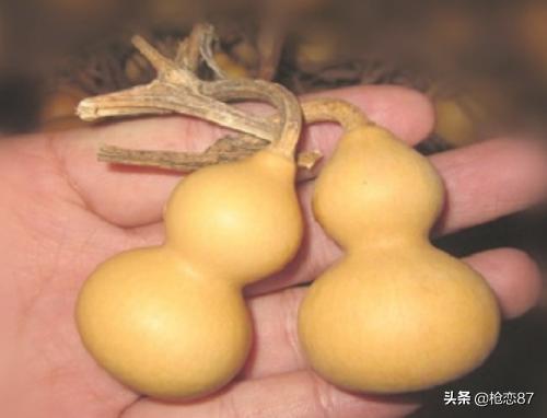 葫芦龙头该怎么保养(图3)