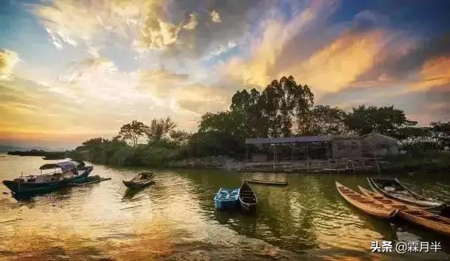 东莞市捕鱼器批发市场在哪里