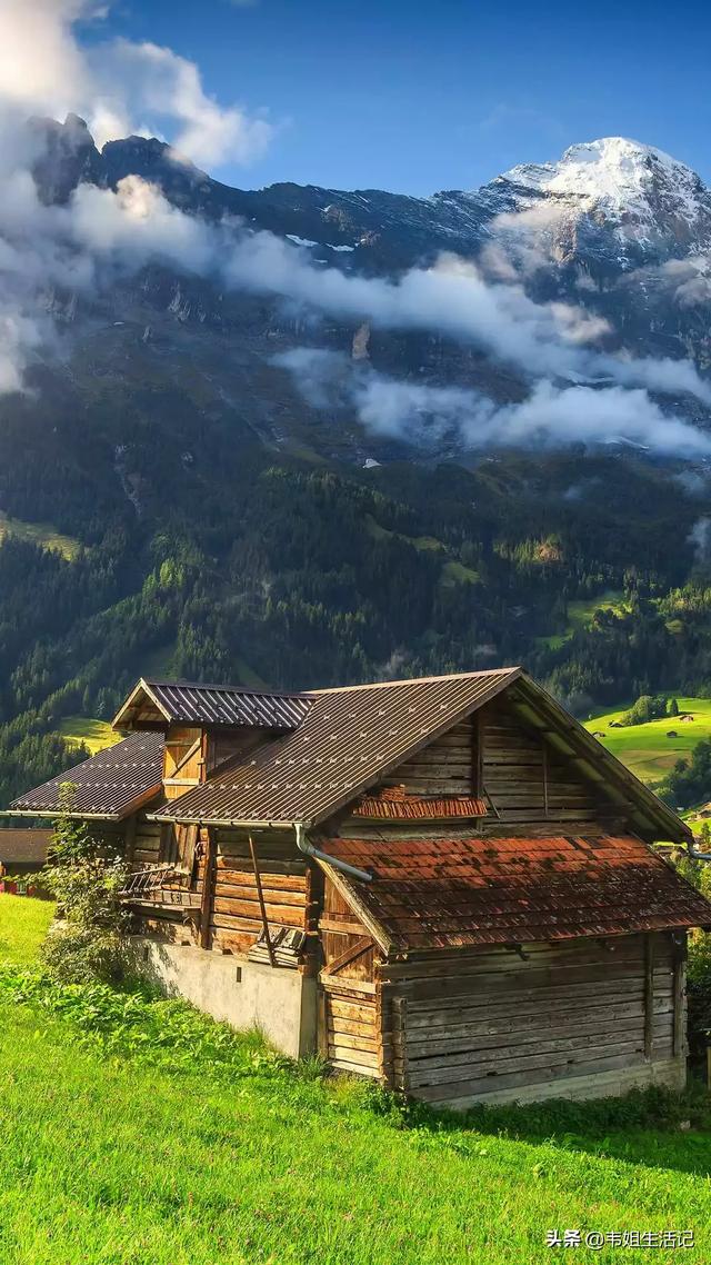 如何在家做一个生态鱼缸？：简易生态景观设计