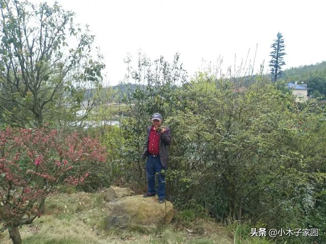 长沙下雨天，带朋友上哪里玩比较浪漫？