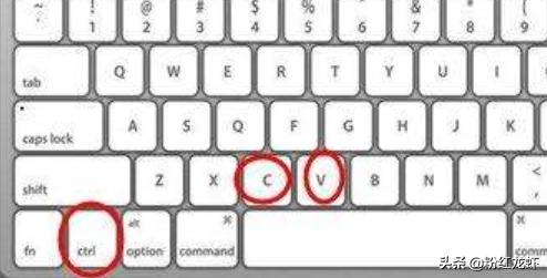 [快捷键复制]复制快捷键是什么？