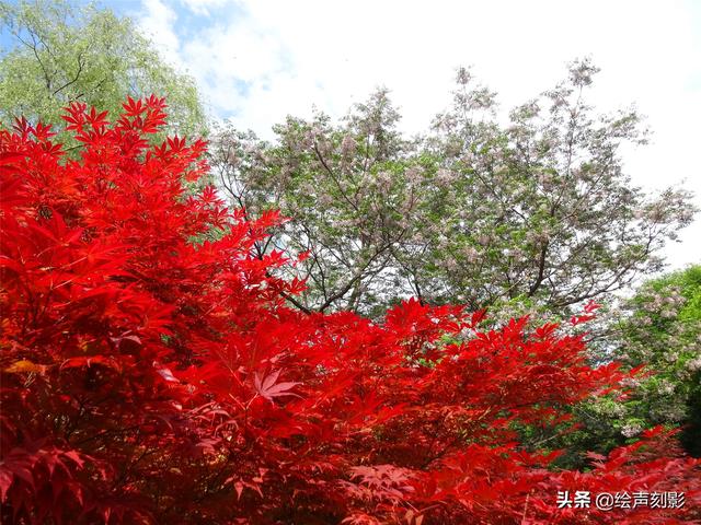 济南市里公园哪个好玩儿