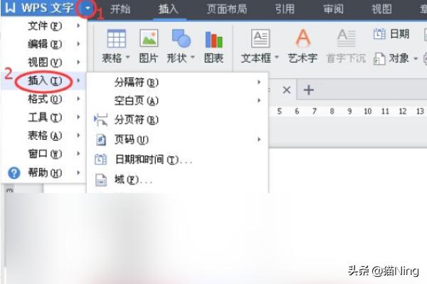 wps如何去水印（wps水印去不掉？）