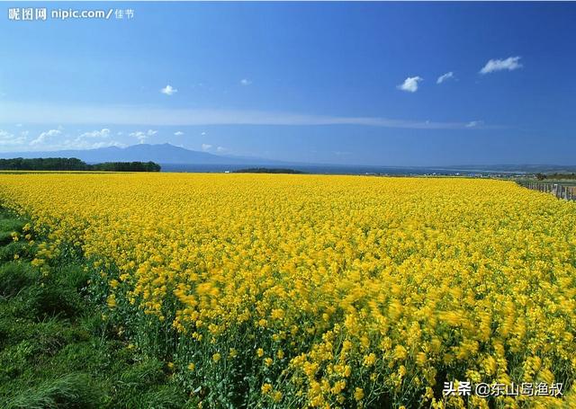 山上养殖什么赚钱-在山上养殖什么比较赚钱