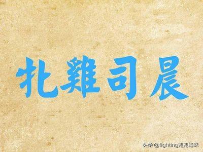 什么鸡什么蛋(什么鸡什么蛋的成语有哪些)