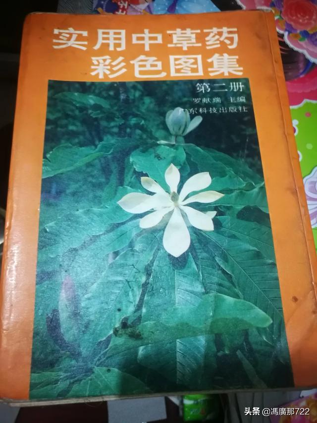 多种中药有什么功效(图2)