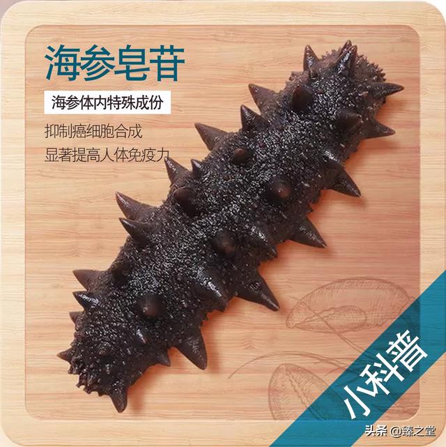 海参有什么特点和功效(图15)