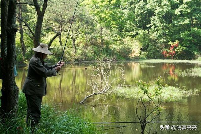 野外 捕鱼 垂钓视频-野外 捕鱼 垂钓视频大全