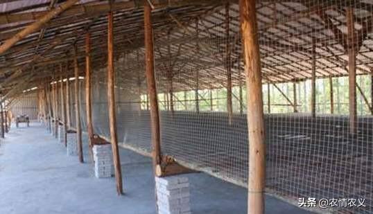 养殖大棚建设视频 蔬菜大棚怎么建造？