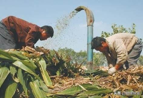农村致富项目大全种植业 适合农村创业的最新致富项目？