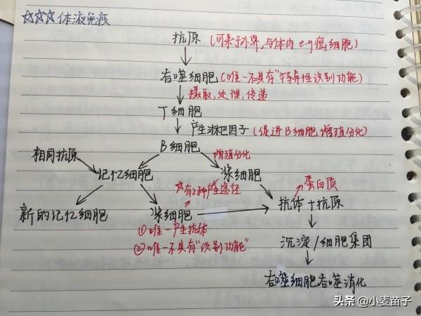 高中复习效率怎么提升(图3)