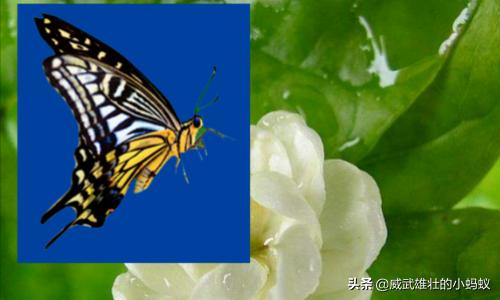 蒙版的作用ps蒙版的作用