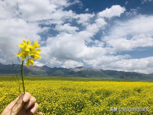 美丽蜕变，美丽蜕变的话语