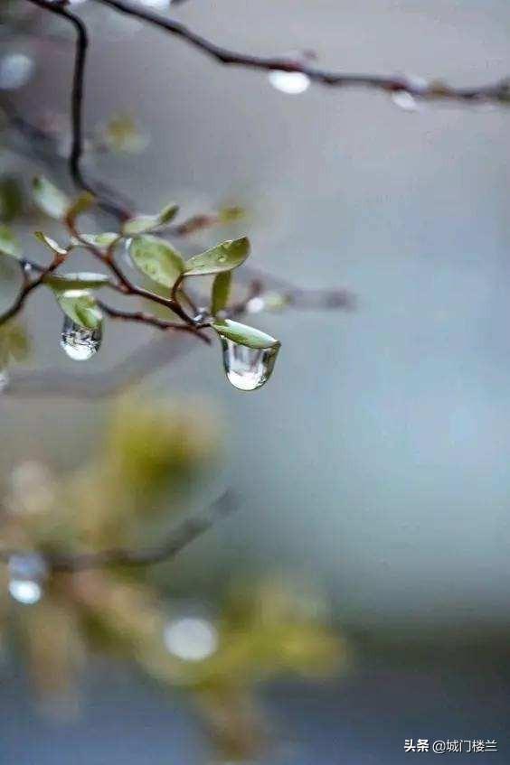 雨后天晴雨后天晴的优美句子文案