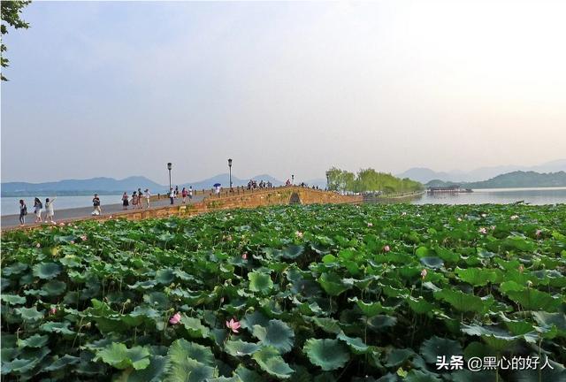 浴鹄湾景点门票价格， 浴鹄湾景点门票价格多少