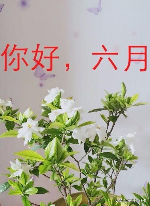 6月有什么节日？2021年6月25日是个什么样的日子？