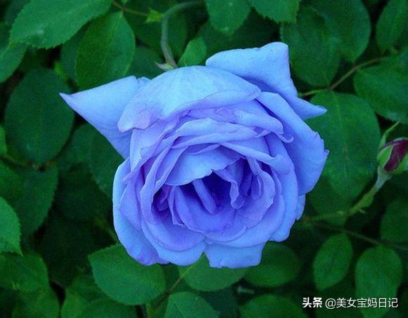 知识改变学生学习，学生知识改变命运