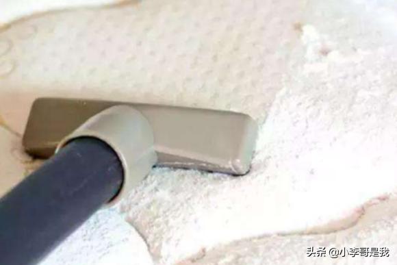 床上有小飞虫怎么去除(图3)