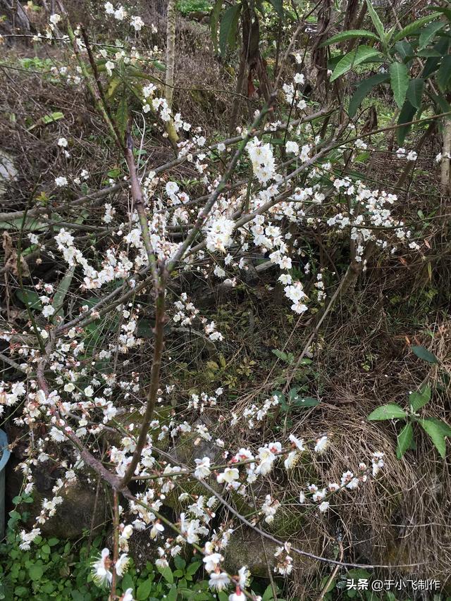 有哪些儿童游戏