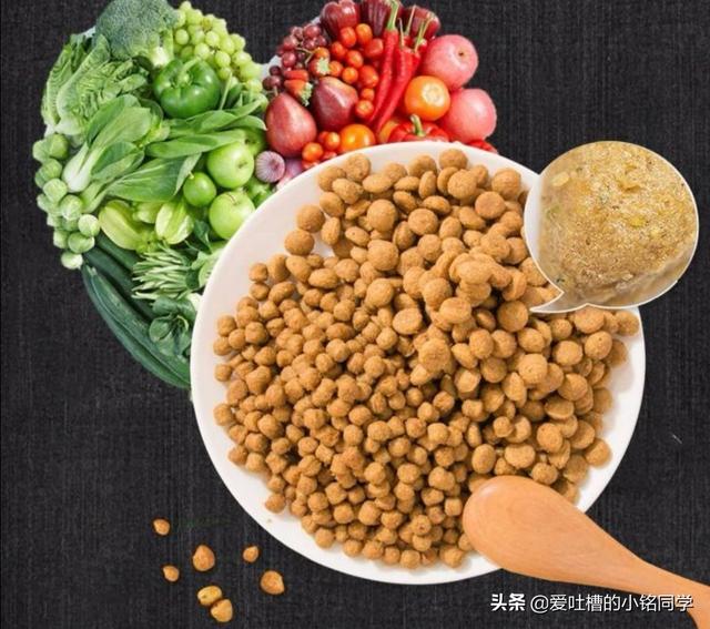 狗狗多大可以干吃狗粮