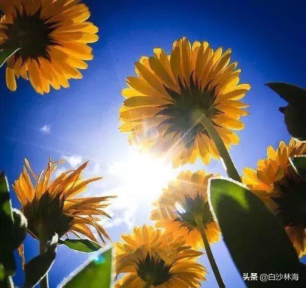 汶川地震感人故事50字（汶川地震发生的感人故事50字）