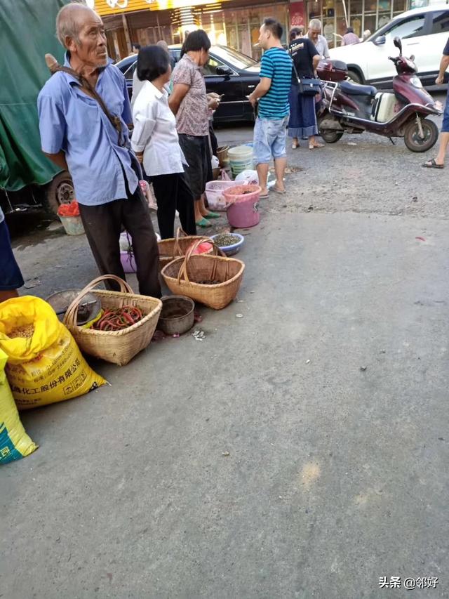 家常菜做法大全素菜（家常菜有哪些？）