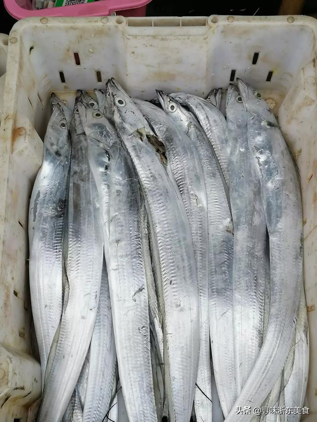 热带鱼要怎么吃才好吃(图14)