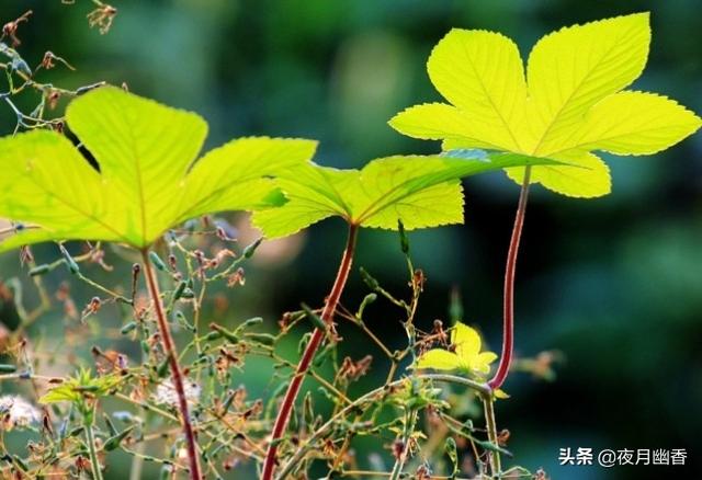 送别诗句大全10首古诗 送别诗句大全 