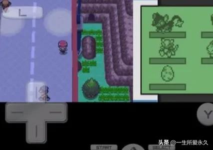 口袋妖怪白金光图文攻略 口袋妖怪白金光图文攻略口袋妖怪白金光剑舞在哪儿学-第3张图片-Game优搜