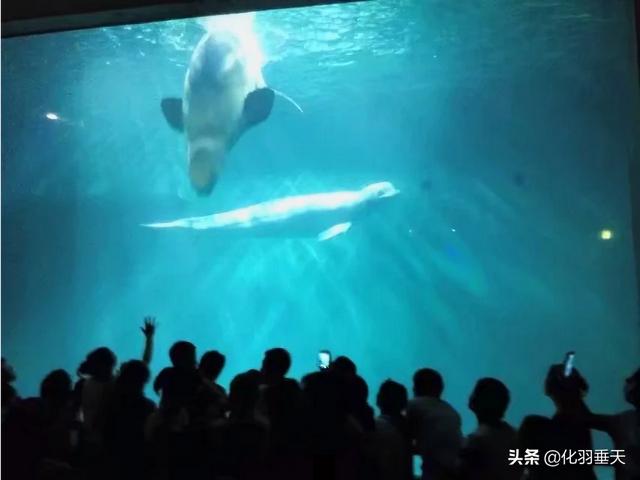 青州租车旅游攻略路线， 青州租车旅游攻略路线图